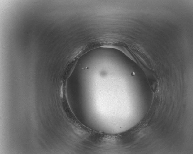 X0000058120076200509301938