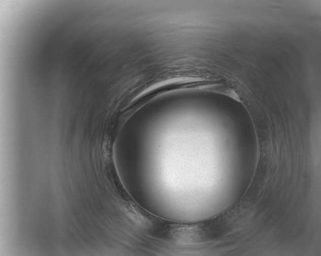 X0000058120081200509301938