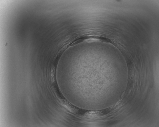 X0000058120082200509301938