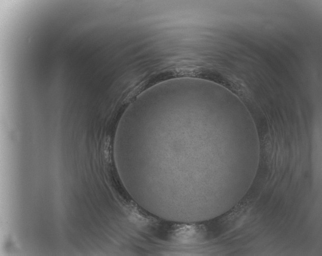 X0000058120083200509301938