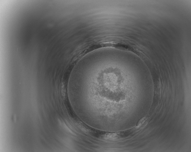 X0000058120086200509301938