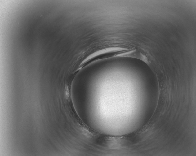 X0000058120089200509301938