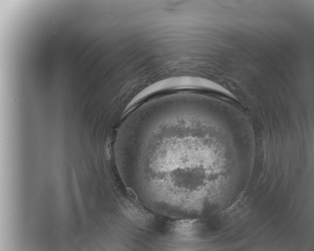 X0000058120090200509301938