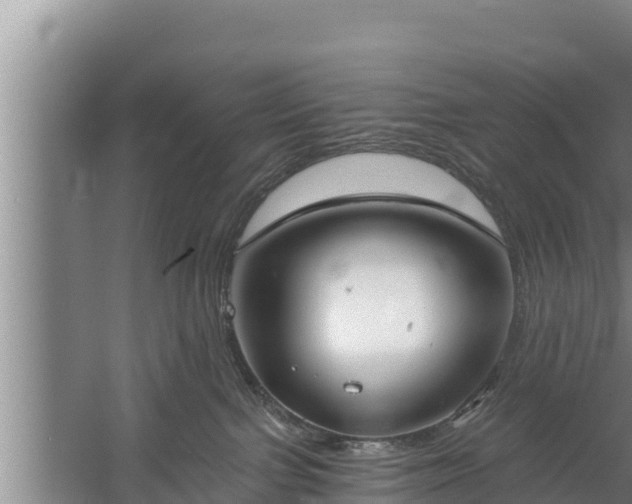 X0000058120091200509301938