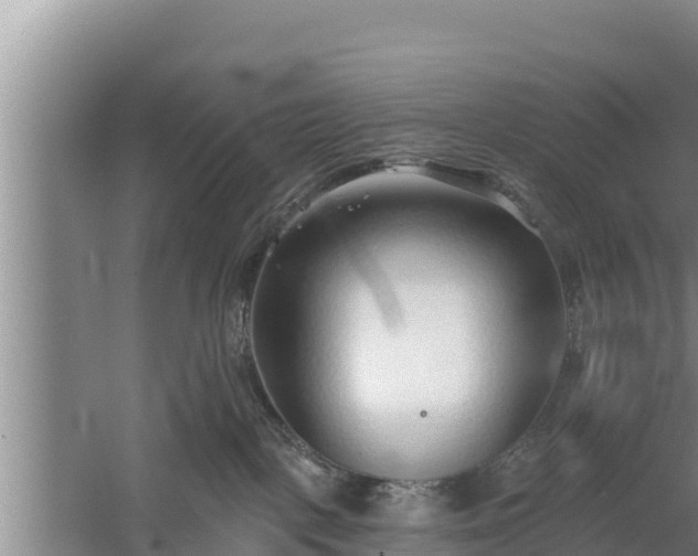 X0000058120093200509301938