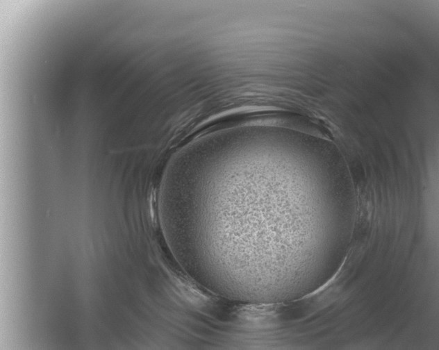 X0000058120094200509301938