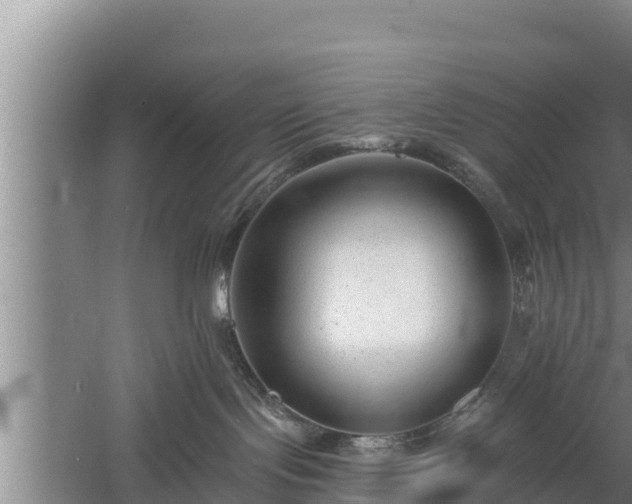 X0000058120095200509301938