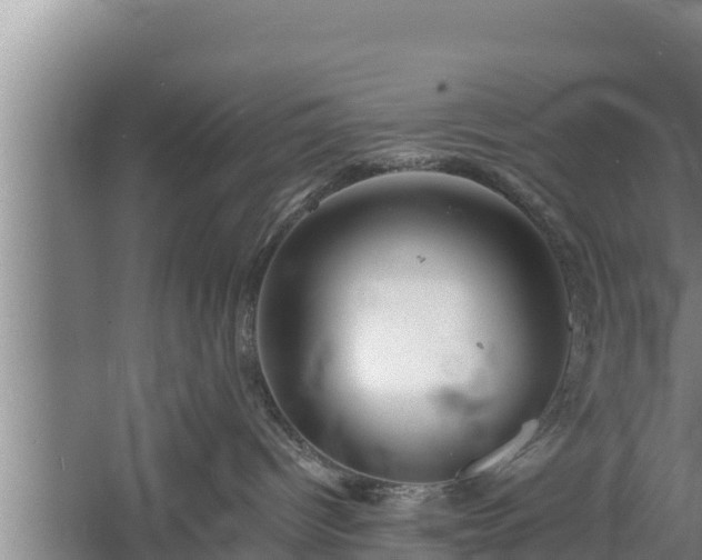 X0000058120096200509301938