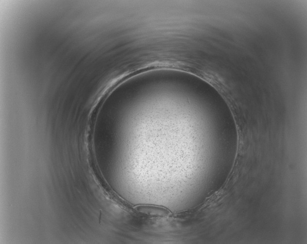 X0000058120098200509301937