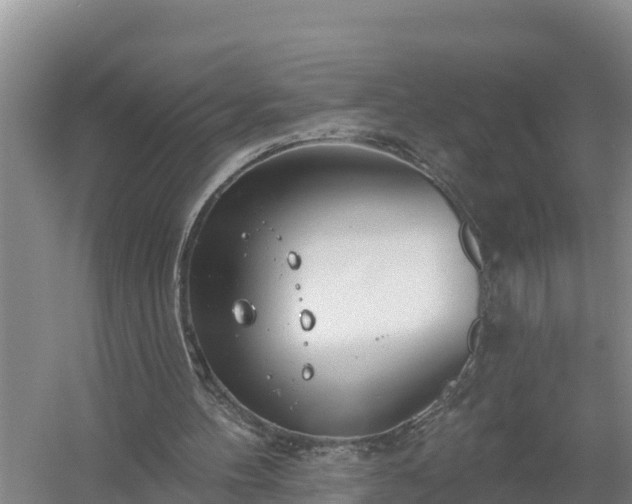 X0000058120100200509301937