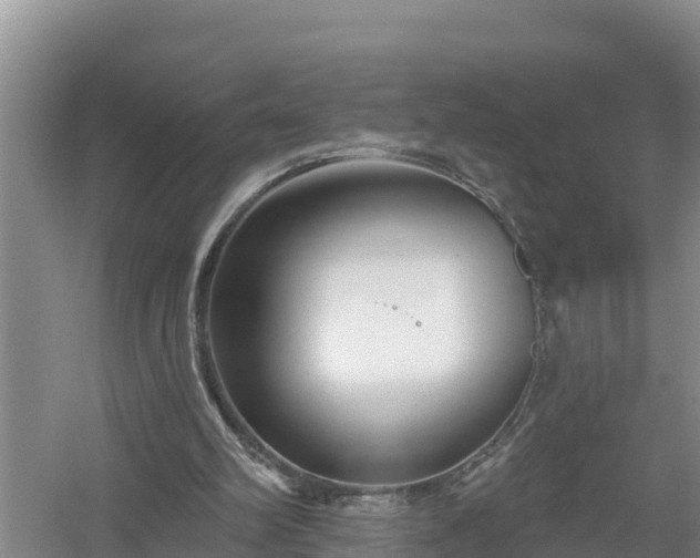 X0000058120102200509301937