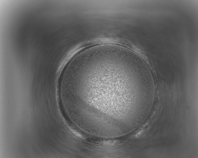 X0000058120103200509301937