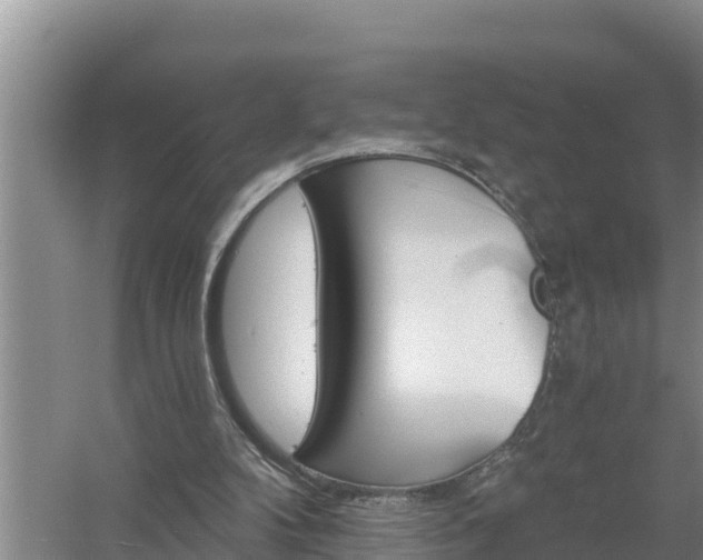 X0000058120104200509301937