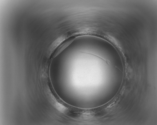 X0000058120105200509301937