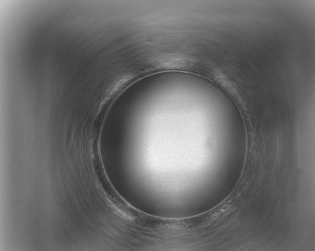 X0000058120106200509301937