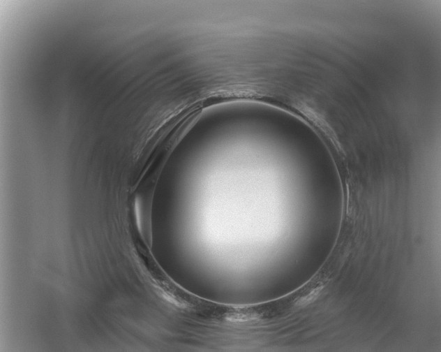 X0000058120109200509301937