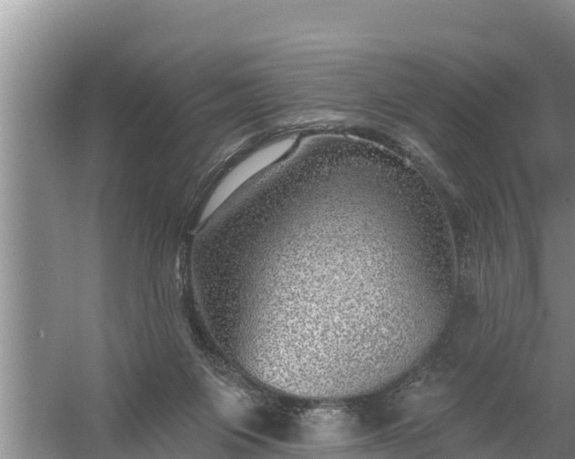 X0000058120119200509301937