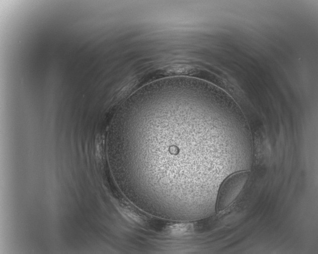 X0000058120126200509301937