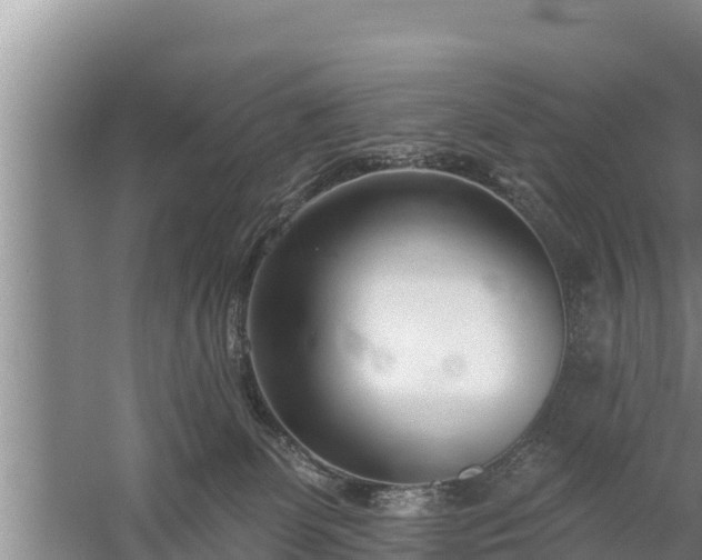 X0000058120131200509301936