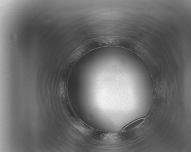 X0000058120132200509301936