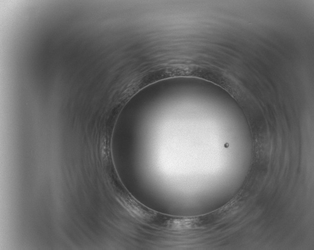 X0000058120134200509301936