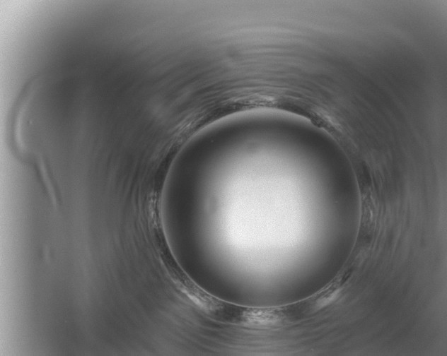 X0000058120141200509301936