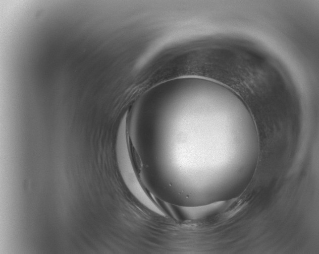 X0000058120143200509301936