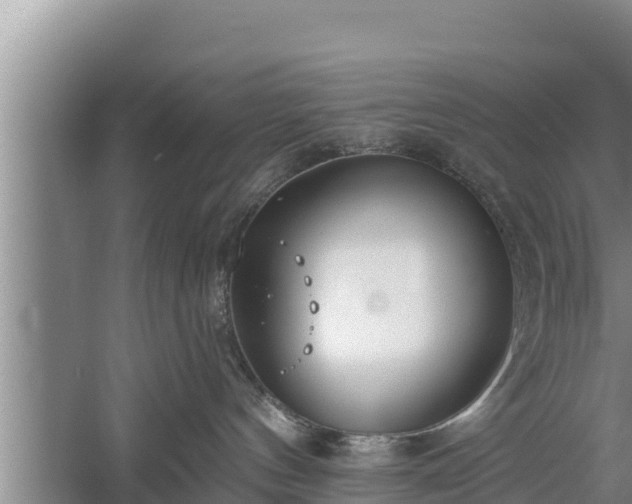 X0000058120144200509301936