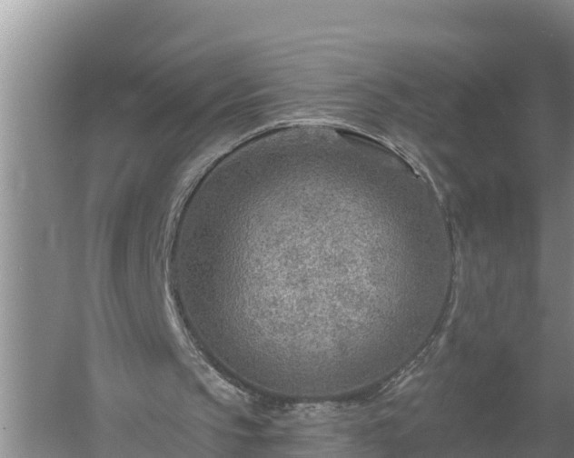 X0000058120145200509301935