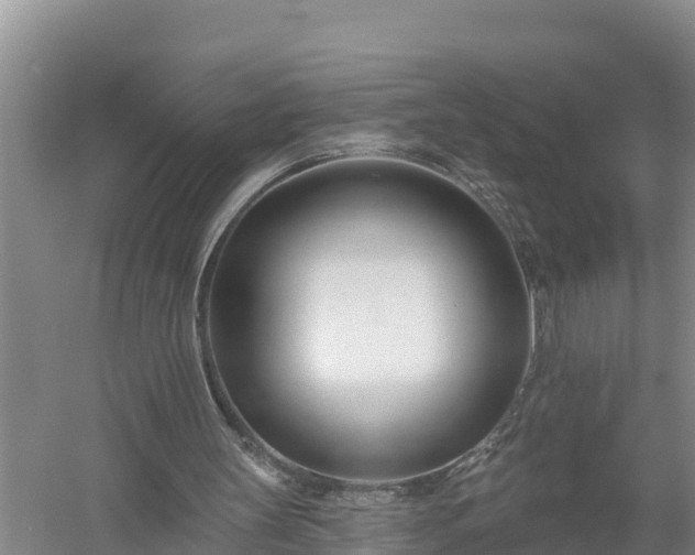 X0000058120147200509301935