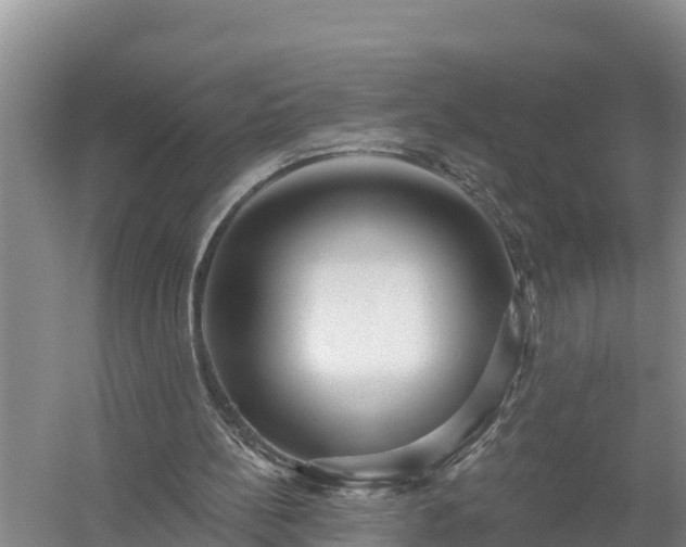 X0000058120148200509301936