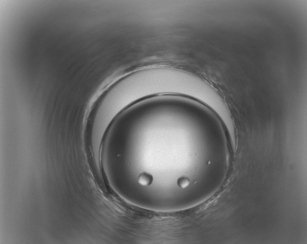 X0000058120150200509301936