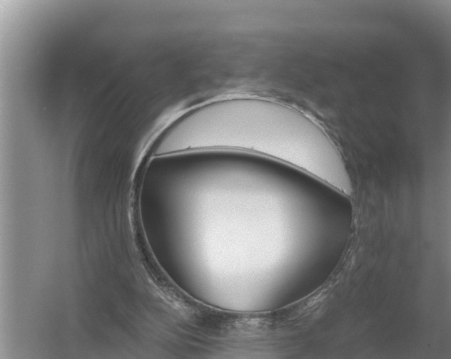 X0000058120152200509301936