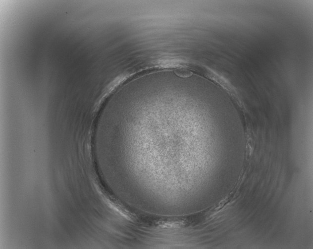 X0000058120155200509301936