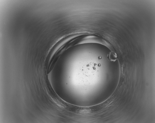 X0000058120156200509301936