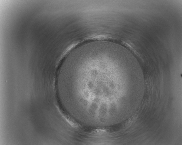 X0000058120159200509301936