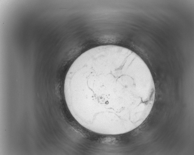 X0000058120162200509301936