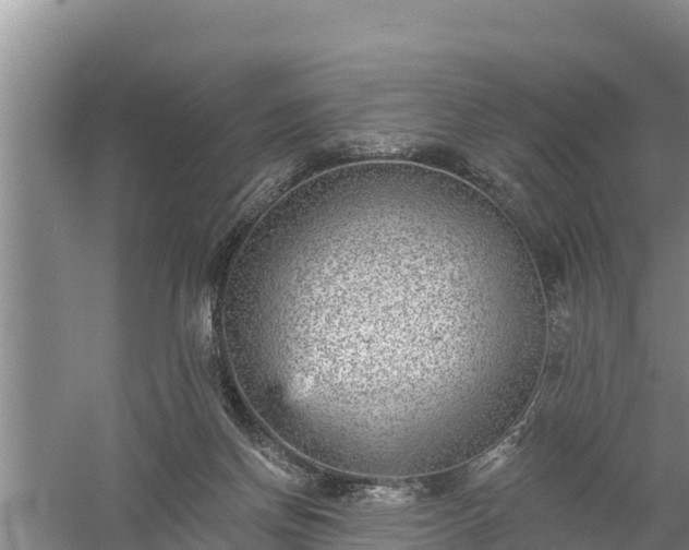 X0000058120166200509301936