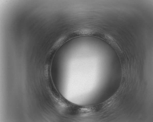 X0000058120167200509301936