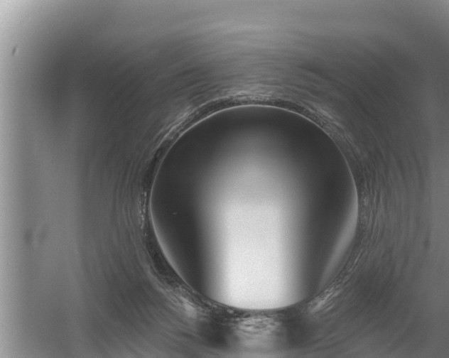 X0000058120168200509301936