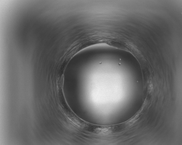 X0000058120170200509301936