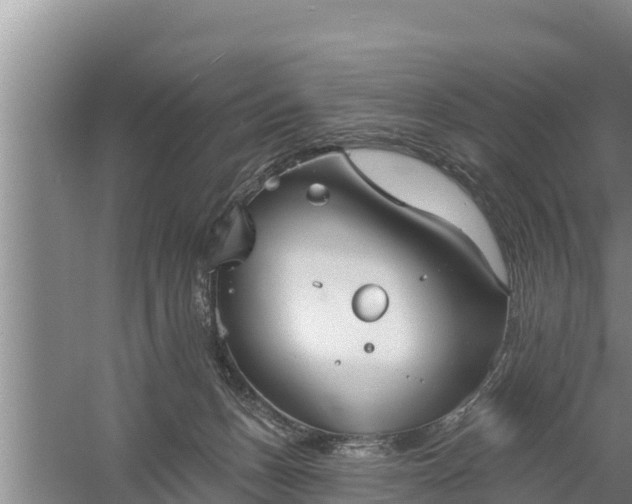 X0000058120175200509301936