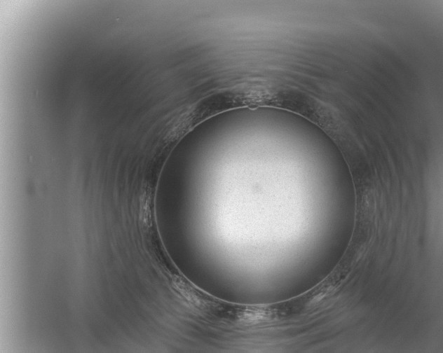 X0000058120177200509301936