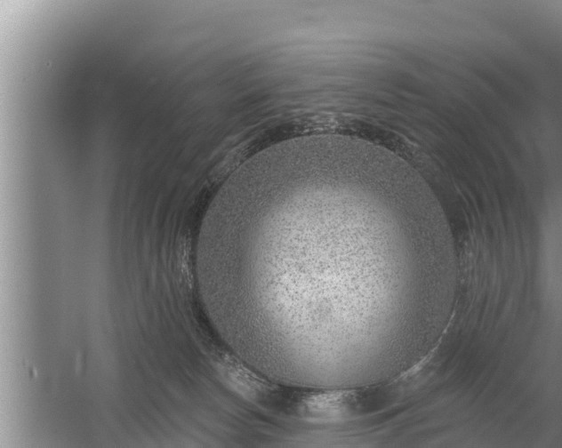 X0000058120178200509301936