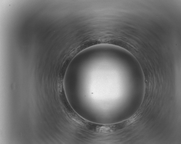 X0000058120180200509301936