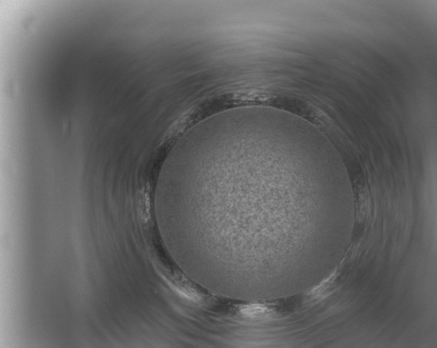 X0000058120183200509301936