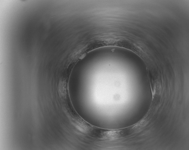 X0000058120184200509301936