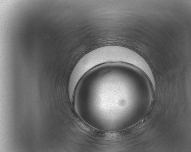 X0000058120185200509301936