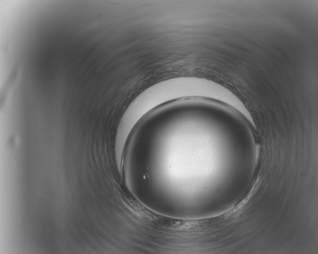 X0000058120186200509301936