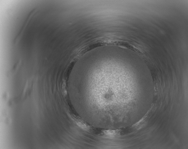 X0000058120187200509301936